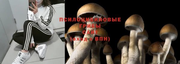 каннабис Абаза