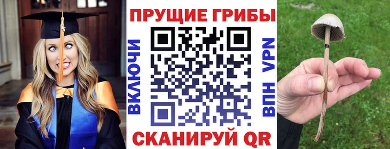 Галлюциногенные грибы мицелий  Фрязино 